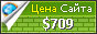 Цена wirbank.info - 709$